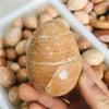 AOHRO Natural crystal rough Natural Magic Natural Peach Moonstone Sphere Quartz Crystal Stone Eggs Reiki Decoration Gift view 3