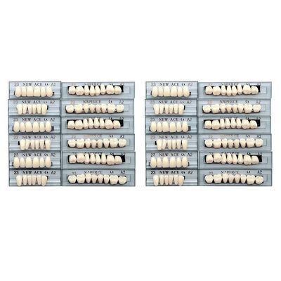 Etelux 168 Pcs Dental Acrylic Resin Denture False Teeth Dental Materials False Teeth Complete Acrylic Resin Denture Teeth (A2-23)