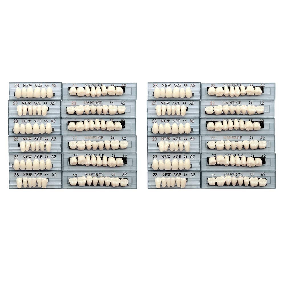 Etelux 168 Pcs Dental Acrylic Resin Denture False Teeth Dental Materials False Teeth Complete Acrylic Resin Denture Teeth (A2-23)