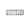 Etelux 168 Pcs Dental Acrylic Resin Denture False Teeth Dental Materials False Teeth Complete Acrylic Resin Denture Teeth (A2-23) view 3