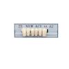 Etelux 168 Pcs Dental Acrylic Resin Denture False Teeth Dental Materials False Teeth Complete Acrylic Resin Denture Teeth (A2-23) view 4