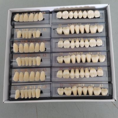 Etelux 168 Pcs Dental Acrylic Resin Denture False Teeth Dental Materials False Teeth Complete Acrylic Resin Denture Teeth (A3-22)