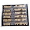 Etelux 168 Pcs Dental Acrylic Resin Denture False Teeth Dental Materials False Teeth Complete Acrylic Resin Denture Teeth (A3-22) view 2