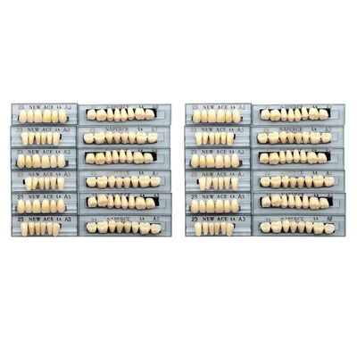 Etelux 168 Pcs Dental Acrylic Resin Denture False Teeth Dental Materials False Teeth Complete Acrylic Resin Denture Teeth (A3-23)