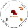 AMINOLAB - ASTAXANTHIN 15mg 30 Capsules - Provides Powerful Antioxidant Support for Skin, Eyes, Heart, and Muscle Recovery - Anti-INFLAMMATORY. view 4