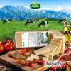 Danish Mozzarella Block Cheese 2.3 kg | Semi-Soft Cheese, Vegetarian, Full-Milk | Ideal for Pizza, Melting, Grating view 3