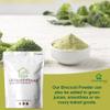 UKHealthHouse Broccoli Powder | Contains Activated Sulforaphane Supplement | Potent Antioxidant Content | Whole Broccoli Powder | 100% Natural & Pure (250g) view 3