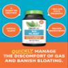Zenwise Health No Bloat - Probiotics, Digestive Enzymes - Ginger, Dandelion, and Lactase to Improve Digestion (48 Count) view 4