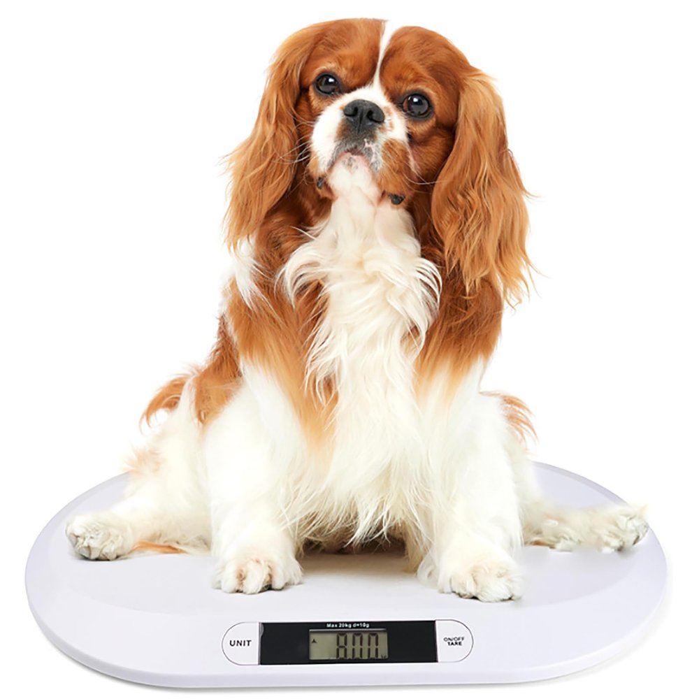 ERICAT Digital Pet Scale for Dogs, Animal Scale Platform with LCD Display Screen, 3 Unit Modes and Durable Anti-Slip Mat, Accurate Weighing and Simple Setup, Max 20kg, For Home and Vet Clinic Use