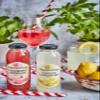Daymer Bay - Raspberry Lemonade, Refreshing Summers Drink, Natural Ingredients, Not from Concentrate, Vegan, Gluten Free, 100% British Recyclable Packaging 24 x 250ml Glass Bottles view 4