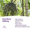 UKHealthHouse Acai Berry 3000mg | Vegan Friendly | Tablets from Brazil Supplement | Double Strength Superfood | Antioxidant Health Maintenance, Energy (180 tabs) view 3