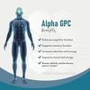 AMINOLAB - Alpha 99% GPC 1000mg 240 Tablets - Supports Enhanced Memory, Focus, and Physical Performance. view 3