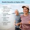 AMINOLAB - Alpha 99% GPC 1000mg 240 Tablets - Supports Enhanced Memory, Focus, and Physical Performance. view 4