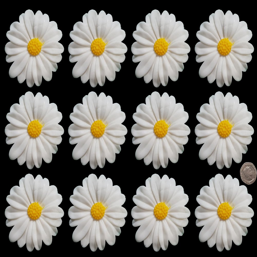 12 x edible 3D Extra Large 7cm Daisies Flowers icing toppers, cake cupcakes decorations (Cream)