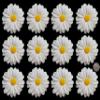 12 x edible 3D Extra Large 7cm Daisies Flowers icing toppers, cake cupcakes decorations (Cream) view 1