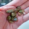 10 x Very Small UNAKITE TUMBLESTONES 0.7 to 2.1 cms Across 18.36 GMS view 3