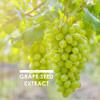 Organic Grapeseed Extract 20,000mg - High Strength 50:1 Extract - 90 Vegan Capsules (3 Months Supply) - Resealable and Recyclable Pouch - by Alpha01 view 4