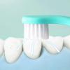 Compact Easy to Hold Toothbrush, Manual Toothbrush with Extra Soft Bristles, Toddler Toothbrush for Ages 1-6 Years Ergonomic view 4