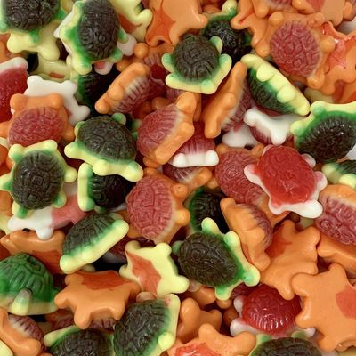 Jelly Filled Turtles 700g Re-Sealable Pouch by The Gourmet Sweet Company