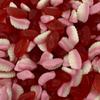 Teeth & Lips 700g Re-Sealable Pouch by The Gourmet Sweet Company view 1
