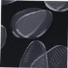 Healeved 12pairs Forefoot Pad for High-Heeled Shoes Thicken Foot Pads Non-Slip Cushion Insoles for Women Comfortable Walking Support view 4