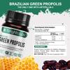 Bee Health Propolis | Brazilian Green Propolis | 87% Dry Extract | Immune System Booster | High Artepillin C - Immunity Support | 54mg Phenolic Compound & 21mg Flavonoids view 4