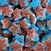 Fizzy Starfish 700g Re-Sealable Pouch by The Gourmet Sweet Company view 1