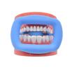 3PCS Dental Cheek Retractor Soft Silicone for Teeth Whitening Treating Mouth Opener Blanqueamiento Dental Lip Retractor Orthodontic Supplies Tongue Guard Autoclavable view 1