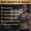 Shilajit Resin Gold Standard Shilajit - 600mg Himalayan Shilajit Blend with Ayurvedic Herbal Extracts, High Levels of Fulvic Acid, Supports Energy and Performance, 30g (Pack of 1) view 4