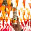 Belvoir Farm - Sparkling Mango & Peach, Delicious and Light, Real Fruit Juice, Low in Calories, Nothing Artificial, Gluten Free, Suitable for Vegetarians & Vegans 24x330ml view 3