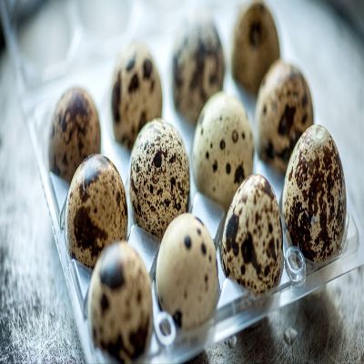 Lothian Stores UK Fresh Quail Eggs (12 Quail Eggs)