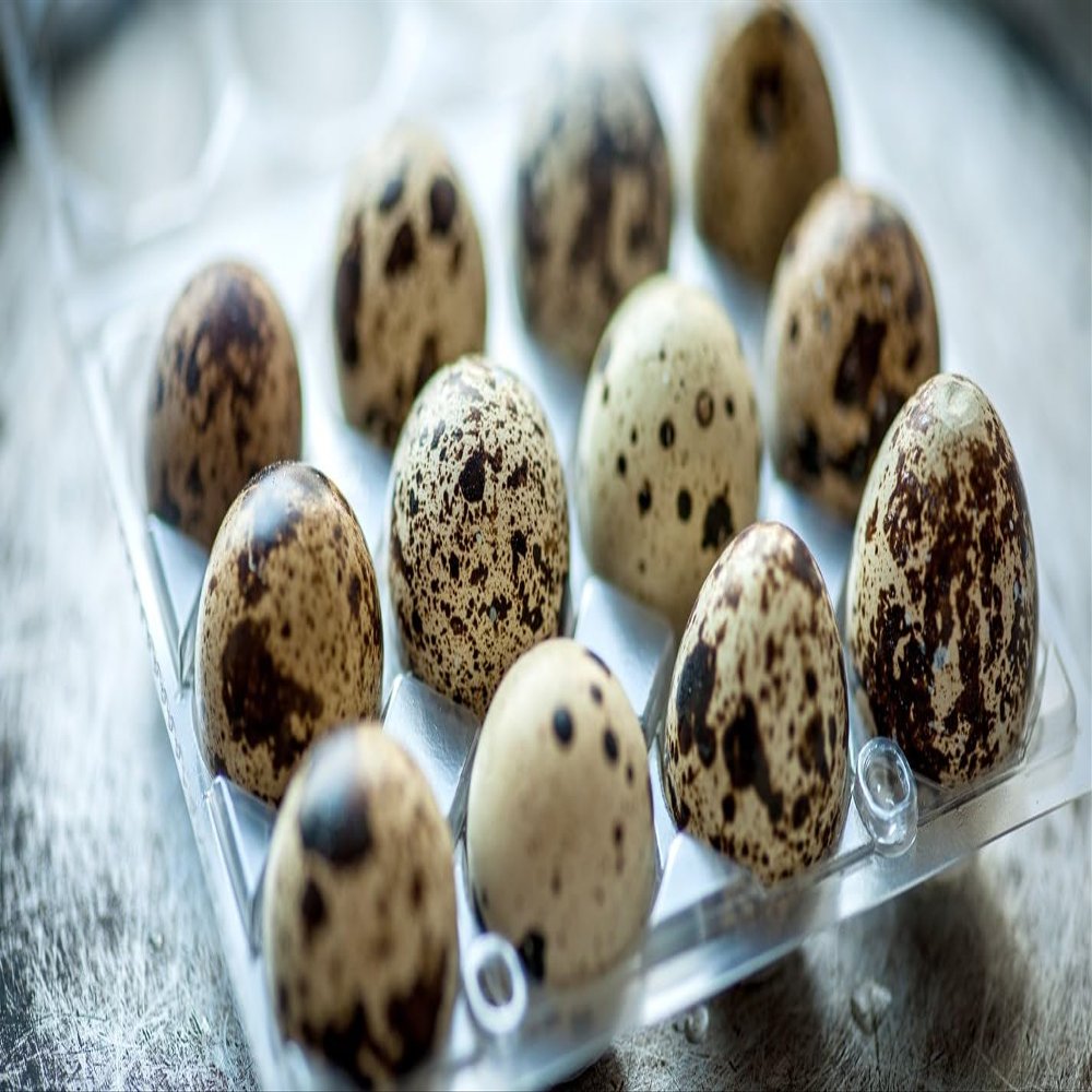 Lothian Stores UK Fresh Quail Eggs (12 Quail Eggs)