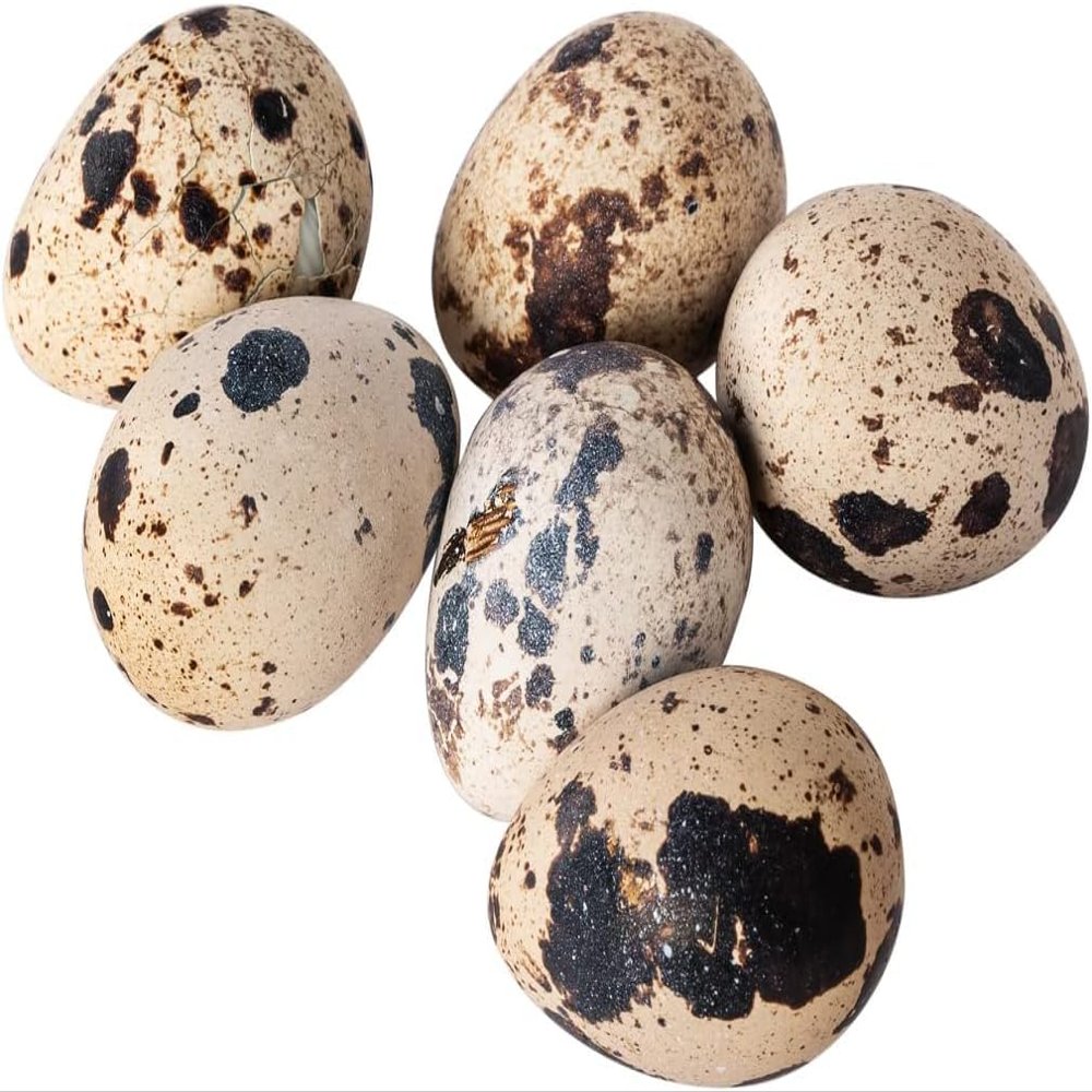 Lothian Stores UK Fresh Quail Eggs (24 Quail Eggs)