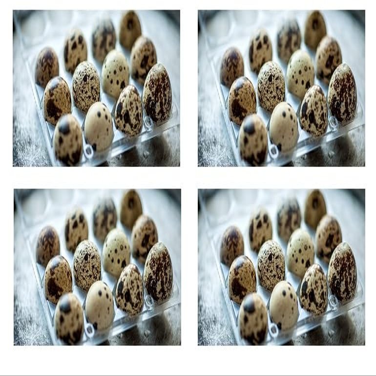 Lothian Stores UK Fresh Quail Eggs (48 Quail Eggs)