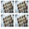 Lothian Stores UK Fresh Quail Eggs (48 Quail Eggs) view 1