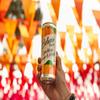 Belvoir Farm - Sparkling Mango & Peach, Delicious and Light, Real Fruit Juice, Low in Calories, Nothing Artificial, Gluten Free, Suitable for Vegetarians & Vegans 4x330ml view 3