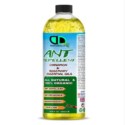 Ant Repellent with Cinnamon & Rosemary Essential Oil (Repells Bugs Such as Flies, Ants, Wasps & Mosquitos Indoors in The Home) (250ml Cap)