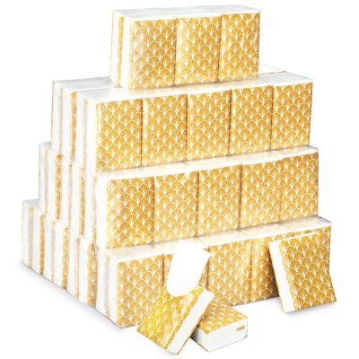 Therwen 100 Pack Pocket Tissues Travel Packs Bulk 1000 Sheet Mini Tissues Bulk 3 Ply Small Travel Size Paper Individual Pocket Size (Classic)