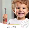 Mombella Ladybug Toddler Toothbrush for 2 Years+, Soft Red Dot Bristle Kids Toothbrush Age 2-4, Easy to Use, Oral Hygiene Care for Infant Teeth and Gums, Safe and Sturdy, 1pc view 3