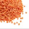 Sussex Wholefoods Red Split Lentils 1kg view 1