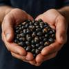 Sussex Wholefoods Roasted & Salted Black SOYA Beans 1kg view 3