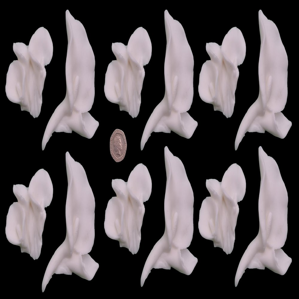 12 x Edible 3D Extra Large Lillies Lilly set one Flowers icing toppers, cake cupcakes decorations (Baby Pink)