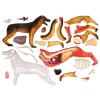 ASSICON 4D Dog Anatomy Model, Puzzle Assembly Model, Simulation Animal Biology for Veterinary Teaching Education Model & Educational Materials view 2