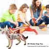 ASSICON 4D Dog Anatomy Model, Puzzle Assembly Model, Simulation Animal Biology for Veterinary Teaching Education Model & Educational Materials view 3
