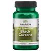 Swanson, Full Spectrum Black Currant, 60 Capsules, High Dose, Soy Free, Gluten Free, Non-GMO view 1