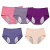 REUset Women's Washable Anti-Urinary Leakage Panties, 5 Pieces Anti-Urinary Leakage Briefs for Women, Washable Absorbent Zone, Anti-Leak for Women, B-XL view 1