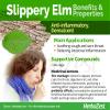 AMINOLAB - Slippery Elm Bark 5000mg 120 Capsules - Supports Throat & Respirtory Health, Relieves Heart Burn - HIGH in Fibre view 4