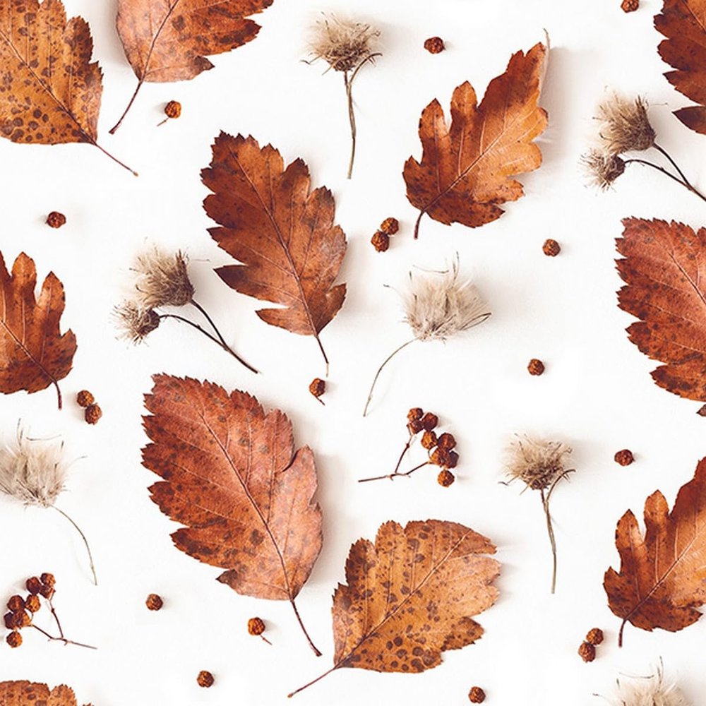 20 Napkins Autumn Soft Autumn Leaves Table Decoration Paper Napkins with Motif Also for Decoupage and Decoupage 33 x 33 cm