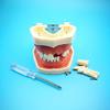 The Replacement of 28pcs Removable Teeth Model,Red Skin,28pcTooth for Simulator Manikin Phantom Head (Tooth Model) view 2