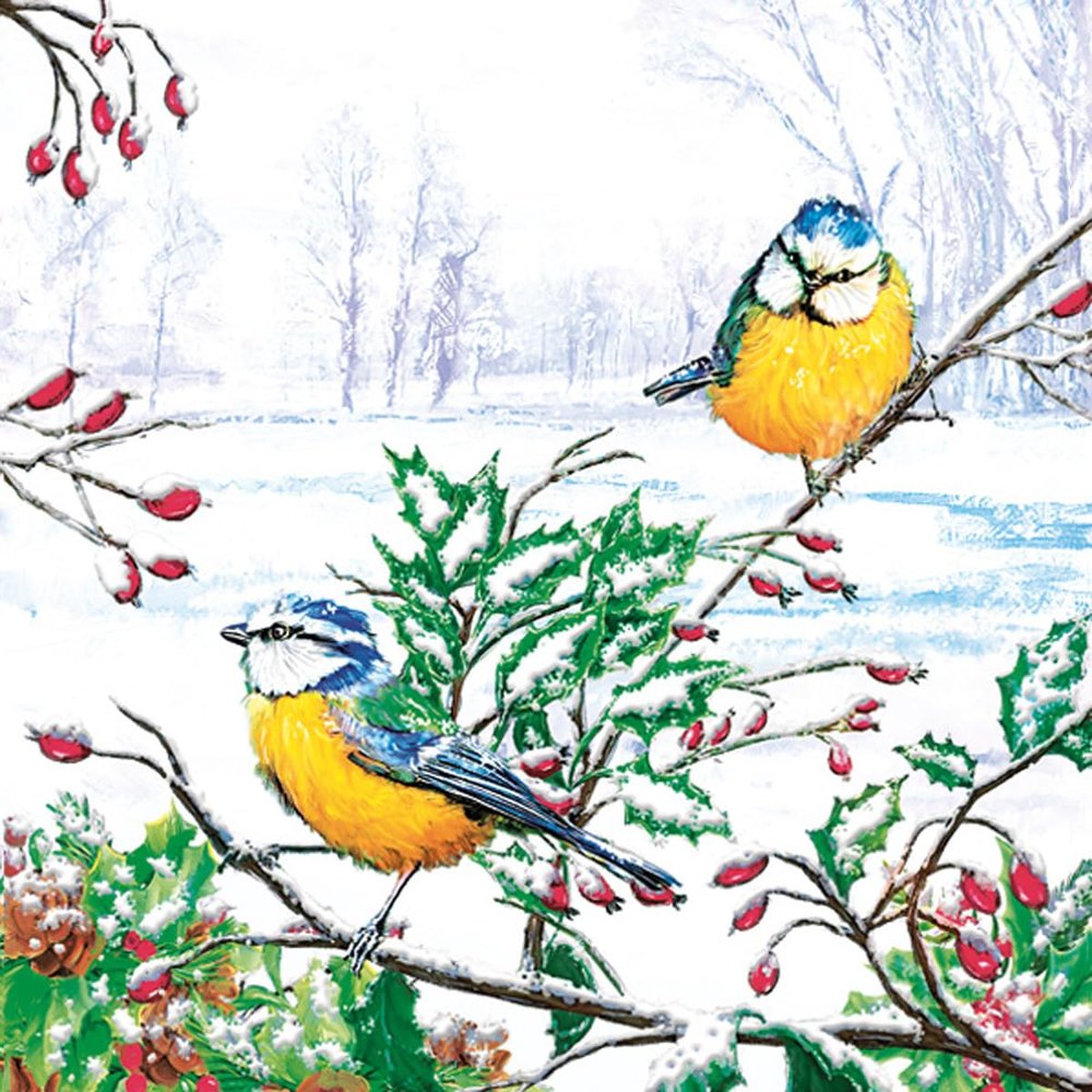 3-Ply Xmas Decoupage Tissue Paper Napkins Decorative Christmas Serviettes 33cm x 33cm - Pack of 20 (Two Winter Tits)